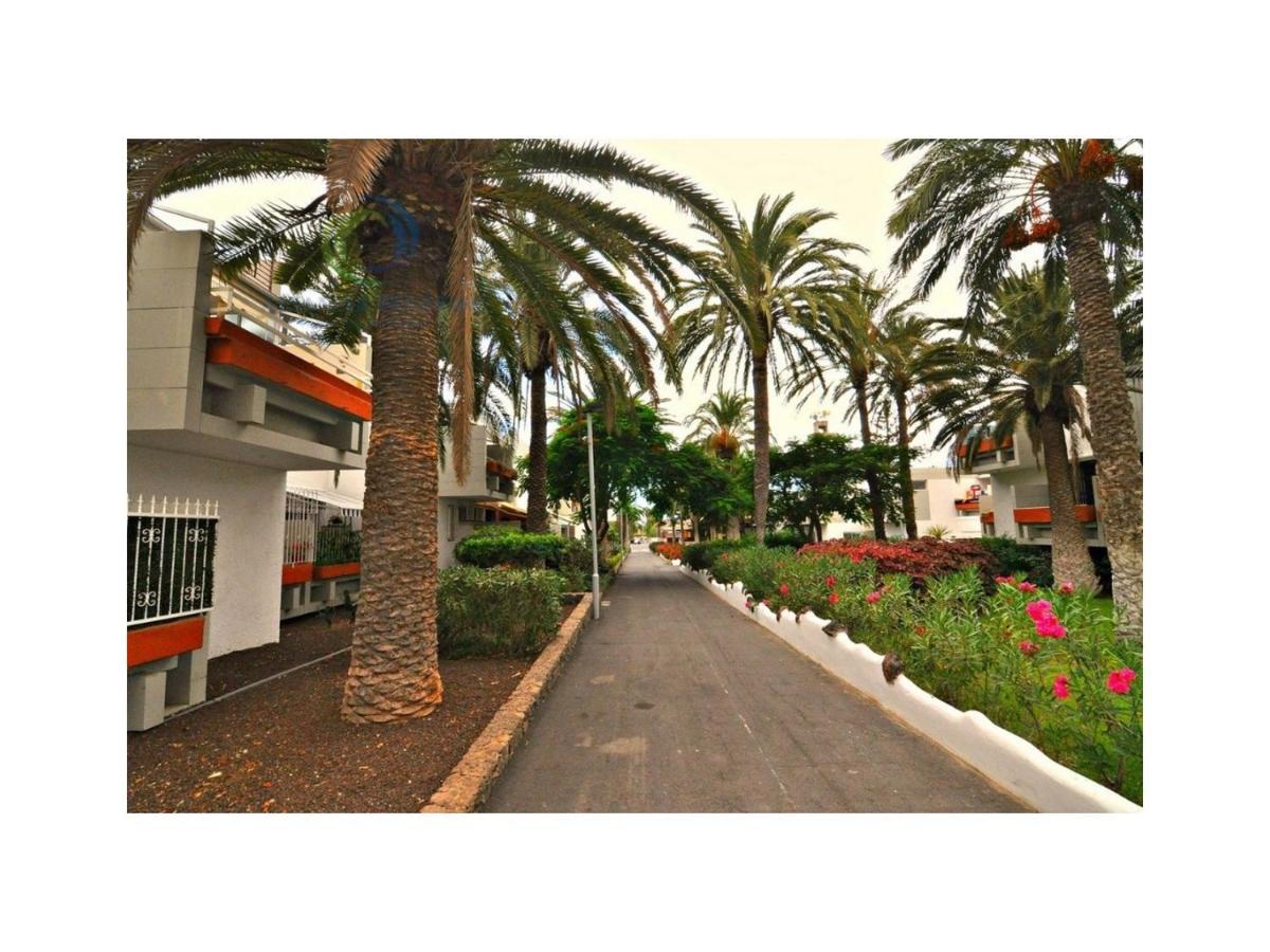 Apartamento Primavera กอสตา เดล ซิเลนซิโอ ภายนอก รูปภาพ