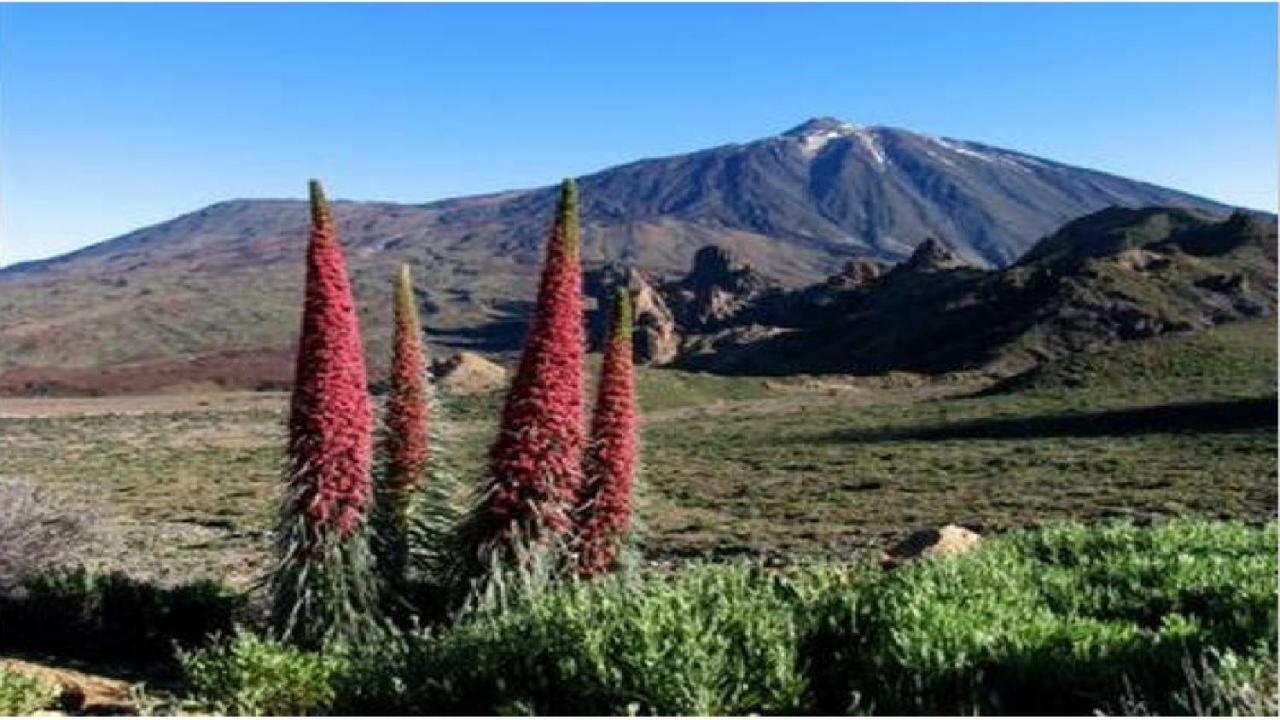 Apartamento Primavera กอสตา เดล ซิเลนซิโอ ภายนอก รูปภาพ